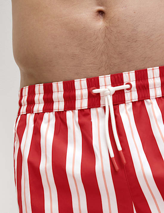 Quick Dry Deckchair Striped Swim Shorts