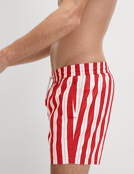 Quick Dry Deckchair Striped Swim Shorts
