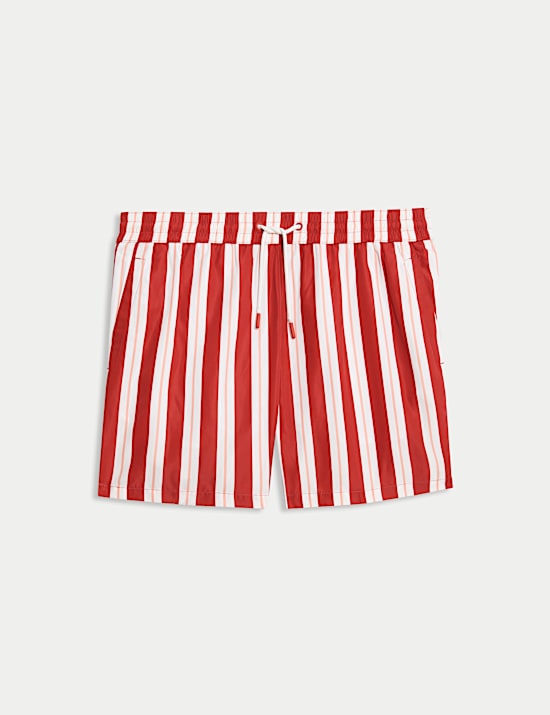 Quick Dry Deckchair Striped Swim Shorts