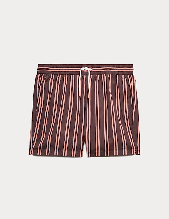 Quick Dry Striped Swim Shorts
