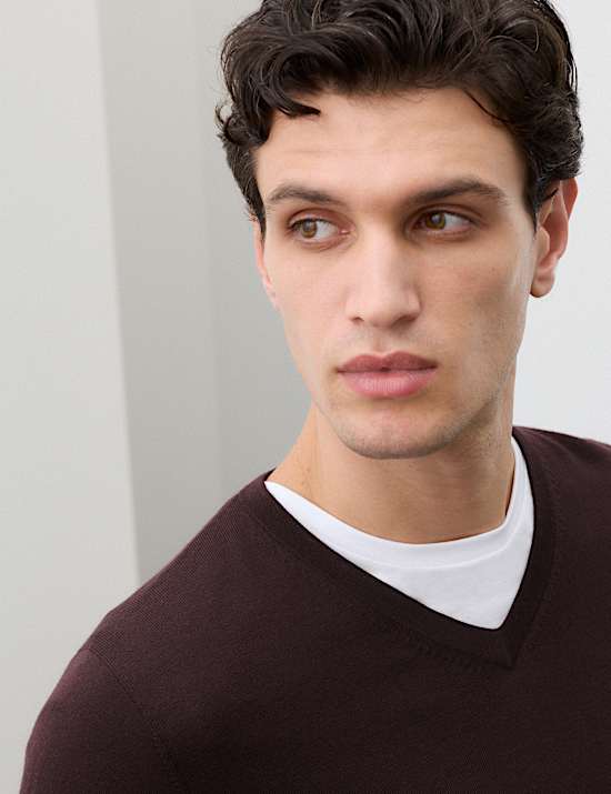 Pure Extra Fine Merino Wool V-Neck Jumper