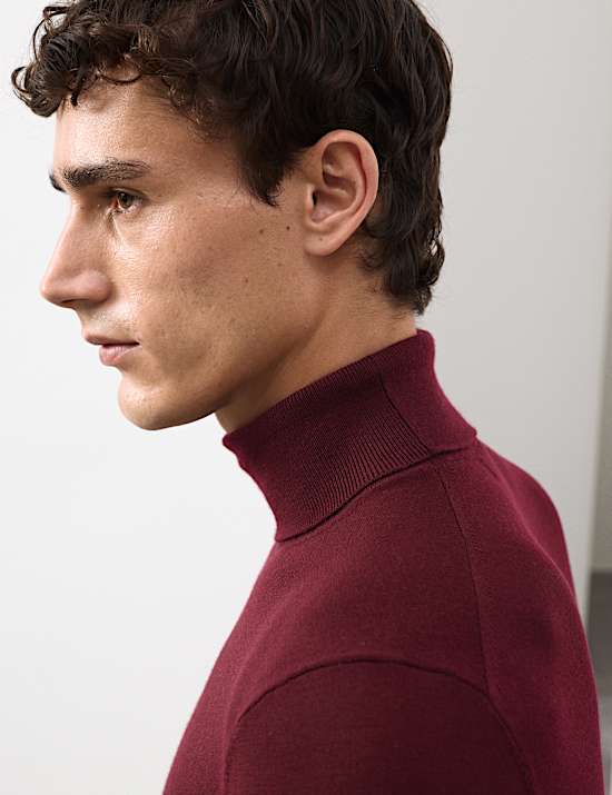 Pure Extra Fine Merino Wool Roll Neck Jumper