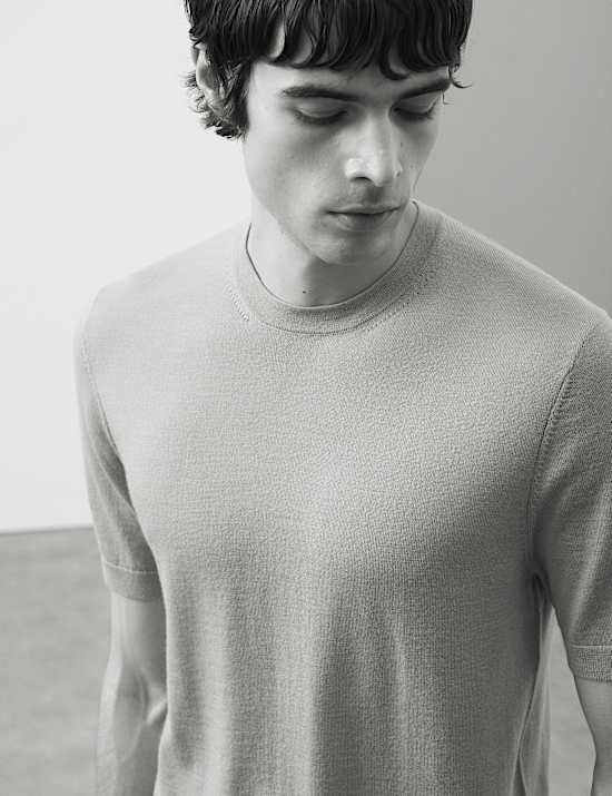 Pure Extra Fine Merino Wool Crew Neck T-Shirt