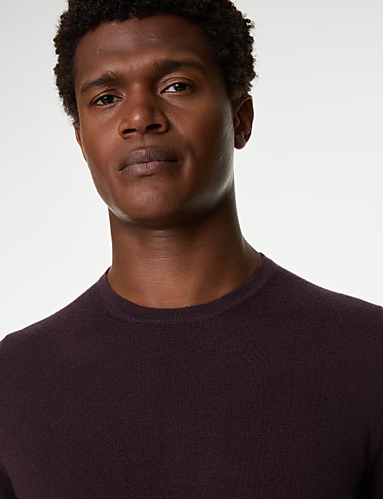 Pure Extra Fine Merino Wool Crew Neck Jumper