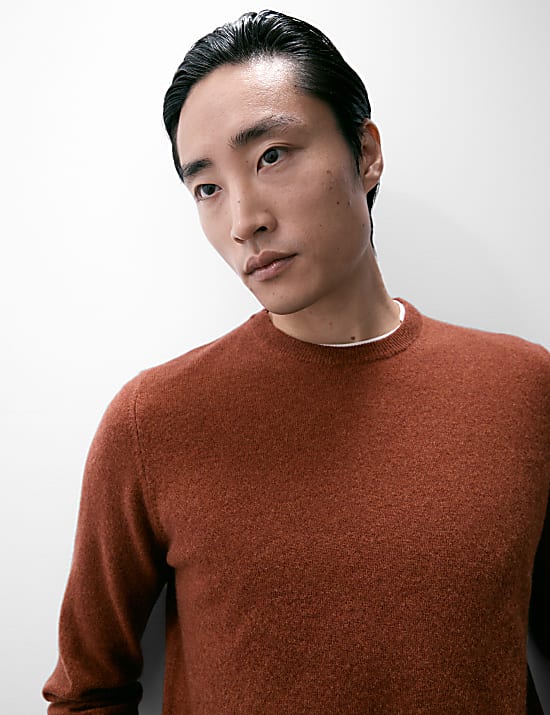 Pure Cashmere Crew Neck Jumper