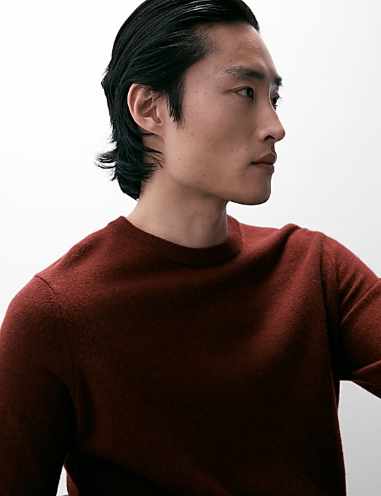 Pure Cashmere Crew Neck Jumper