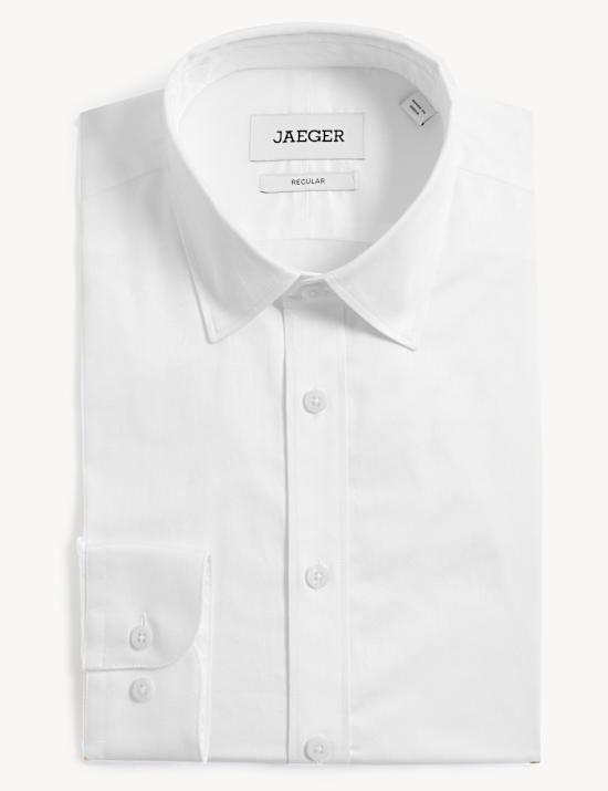 Regular Fit Pure Cotton Twill Shirt