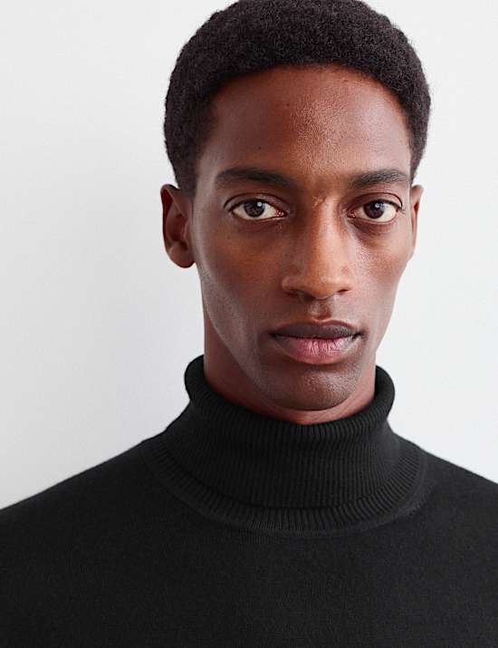 Merino Wool Rich Roll Neck Jumper with Silk