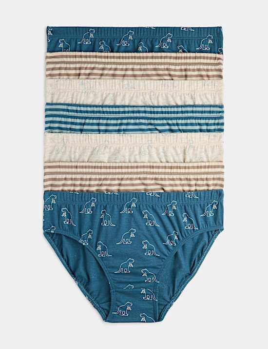 7 Pack Pure Cotton Dinosaur Stripe Briefs (18 Mths - 10 Yrs)