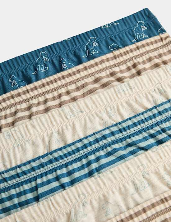 7 Pack Pure Cotton Dinosaur Stripe Briefs (18 Mths - 10 Yrs)