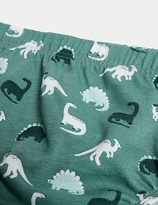 7pk Pure Cotton Dinosaur & Striped Briefs (2-8 Yrs)