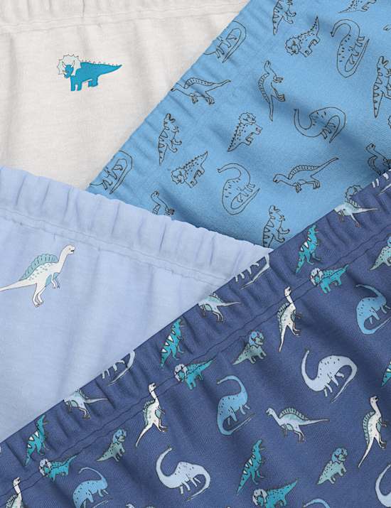 7pk Pure Cotton Dino Briefs (2-8 Yrs)
