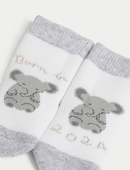 4pk Born in 2024 Socks