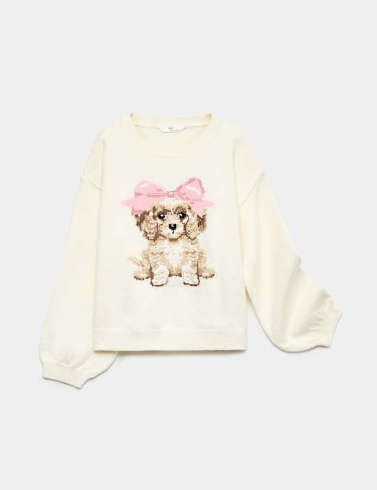 Novelty Dog Knit Jumper (6-16 Yrs)