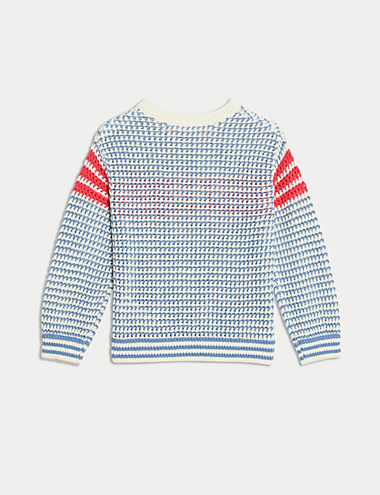Pure Cotton Striped Flower Embroidered Jumper (2-8 Yrs)