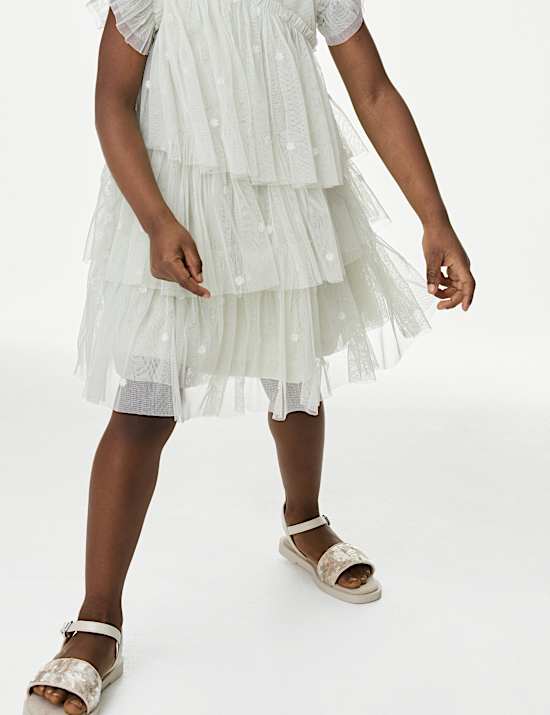 Embroidered Tulle Dress (2-16 Yrs)