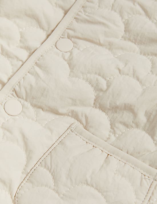 Quilted Puffy Jacket (0-8 Yrs)