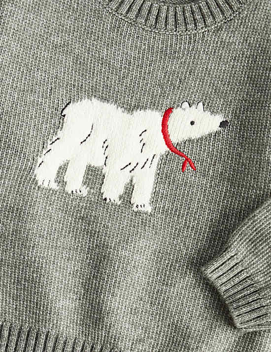 Polar Bear Jumper
