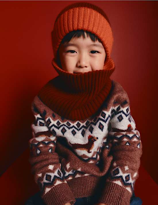 Christmas Fair Isle Dog Knitted Jumper (2-8 Yrs)