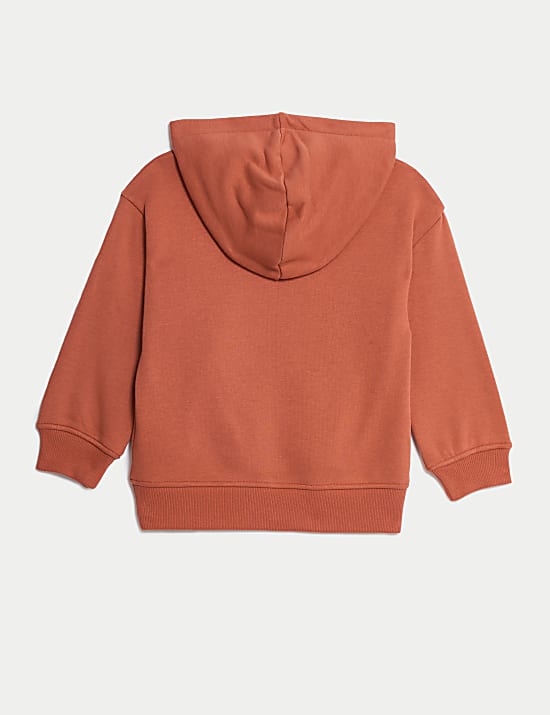 Cotton Rich Hoodie (2-8 Yrs)