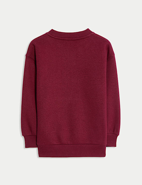 Cotton Rich Graphic Sweatshirt (2-8 Yrs)