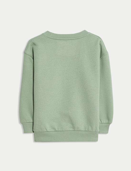 Cotton Rich Graphic Sweatshirt (2-8 Yrs)