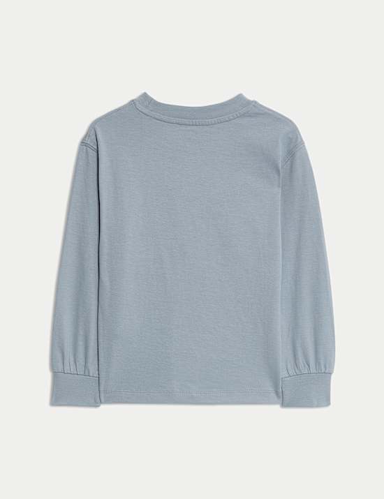 \nPure Cotton Long Sleeve T-shirt (2-8 Yrs)