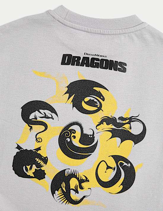 How To Train Your Dragon T-Shirt (2-8 Yrs)