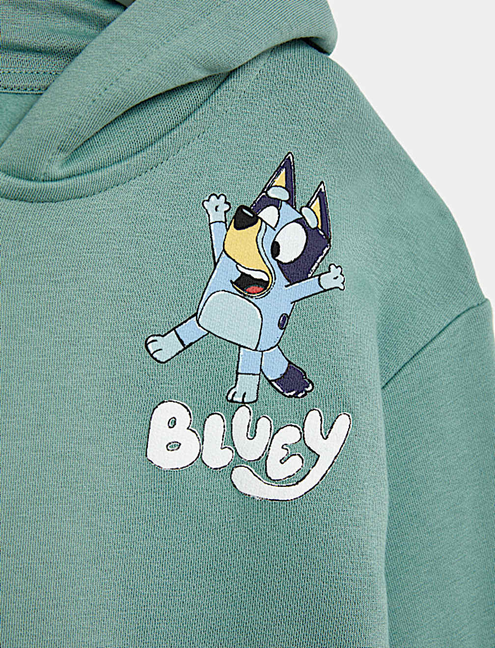 Cotton Rich Bluey™ Zip Hoodie (2-8 Yrs)