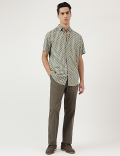 Regular Fit Pure Cotton  Plain Chinos