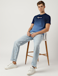 Pure Cotton Ombre T-Shirt