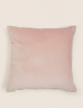 Velvet Cushion