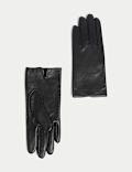 Leather Gloves