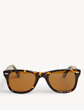 Polarised Sunglasses