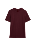 Regular Fit Pure Cotton Crew Neck T-Shirt