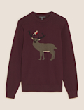 Pure Cotton Robin and Reindeer Christmas Jumper