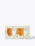 Luxury Body Treats Gift Set