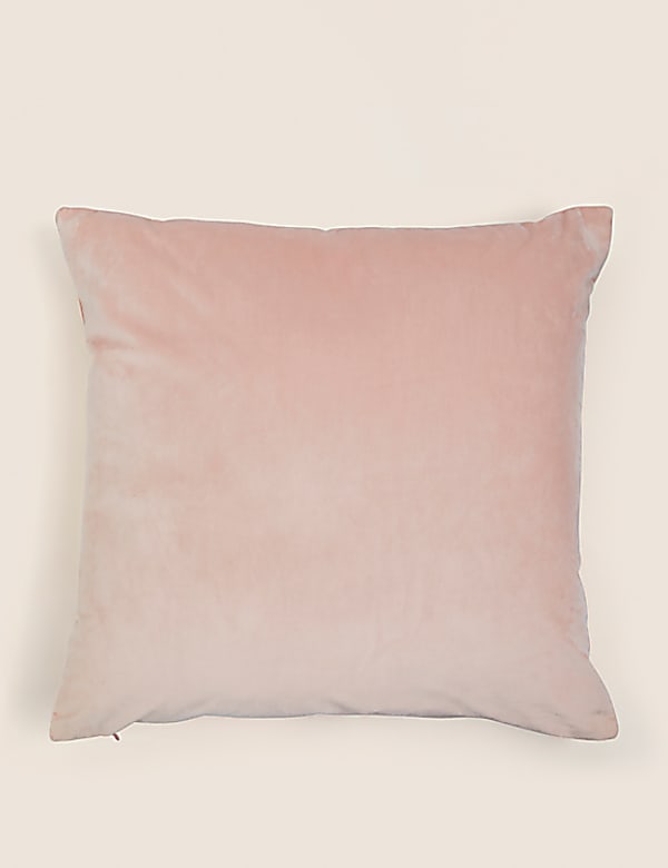 Velvet Cushion