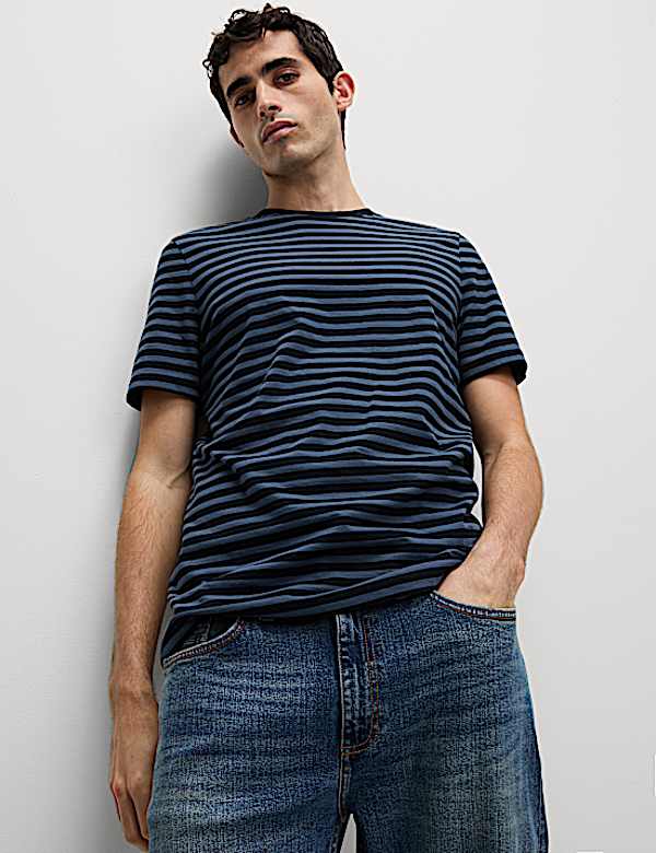 Regular Fit Crew Neck Striped T-Shirt