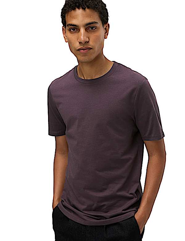 Regular Fit Pure Cotton Crew Neck T-Shirt