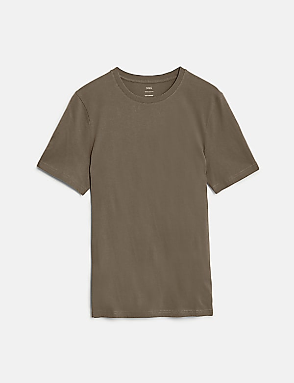 Regular Fit Pure Cotton Crew Neck T-Shirt