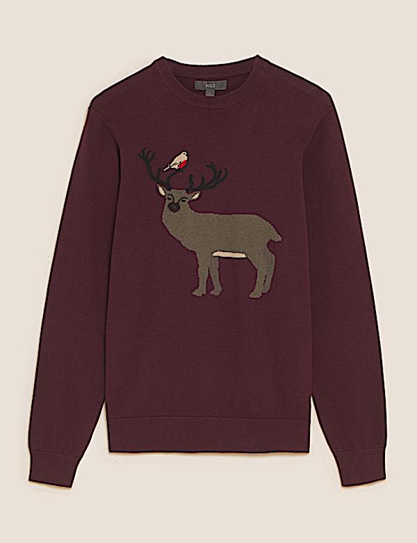 Pure Cotton Robin and Reindeer Christmas Jumper