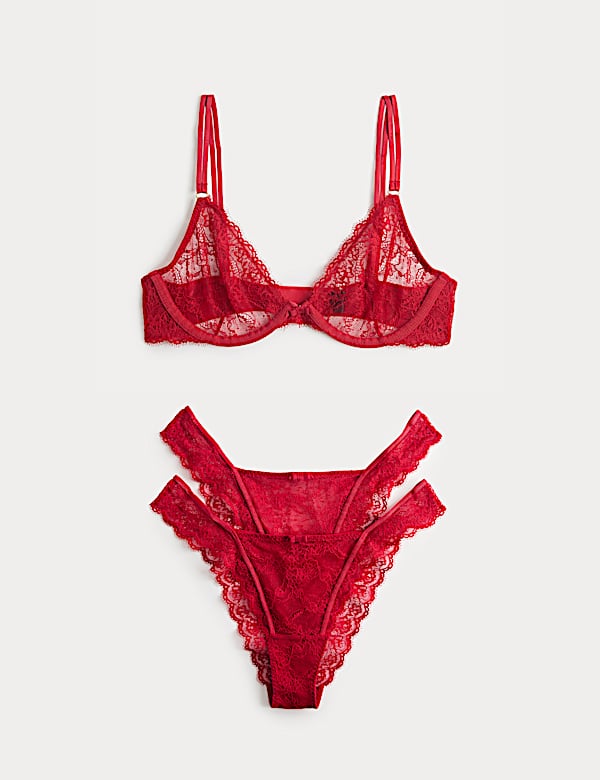 Ida Lace Wired Plunge Bra Set A-E - TW
