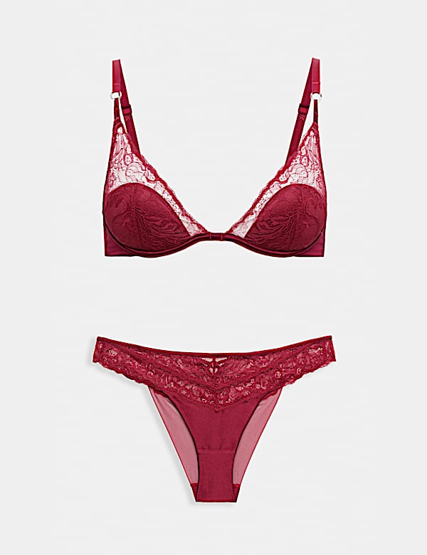 Lace with Silk Wired Plunge Bra Set A-E - IL
