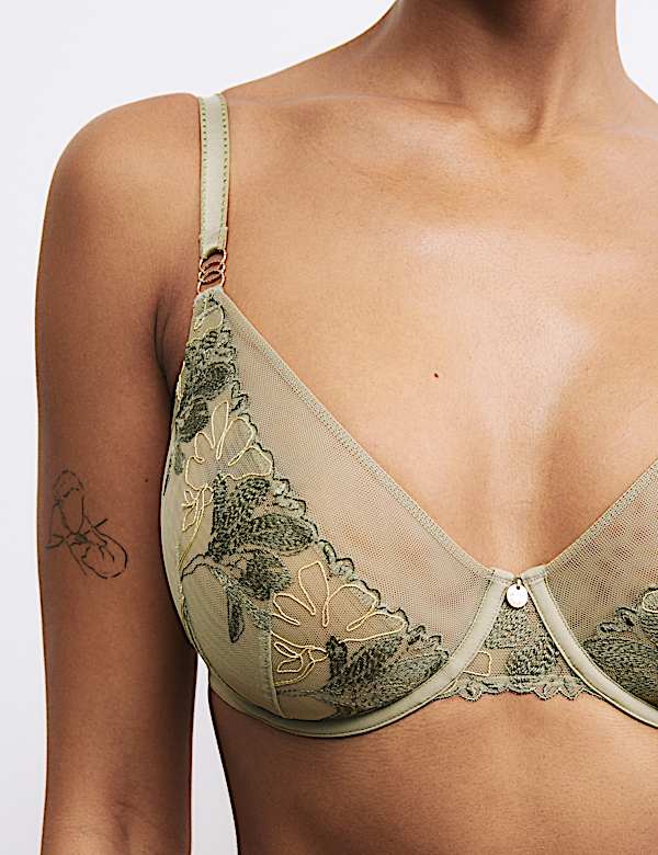 Ianthe Embroidery Wired Plunge Bra Set F-H - DE