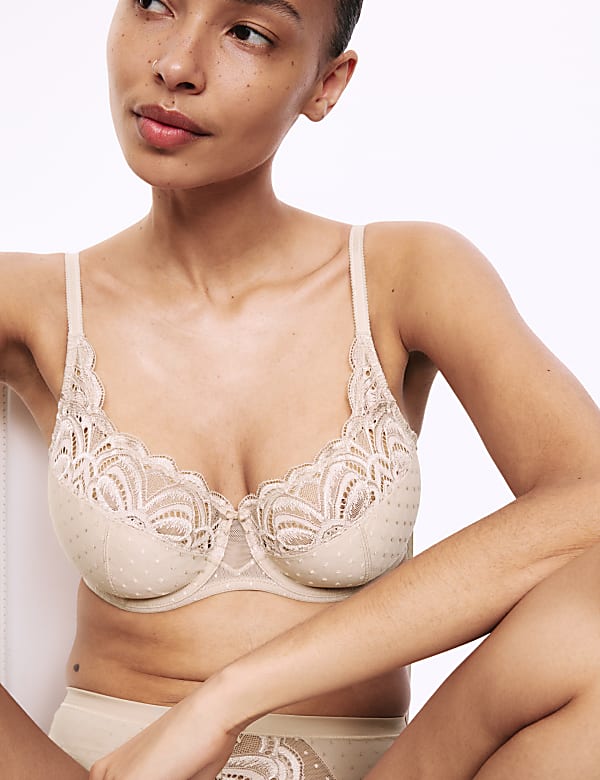 Amelia Lace Wired Full Cup Bra Set A-E - CY