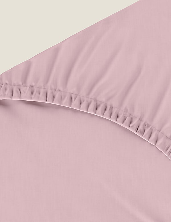 Egyptian Cotton 230 Thread Count Fitted Sheet