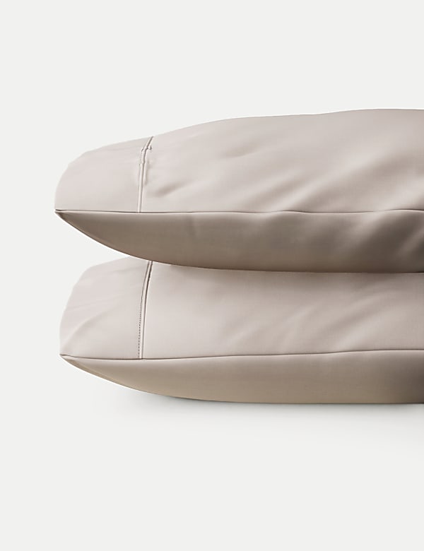 2 Pack Egyptian Cotton 230 Thread Count Pillowcases - LT