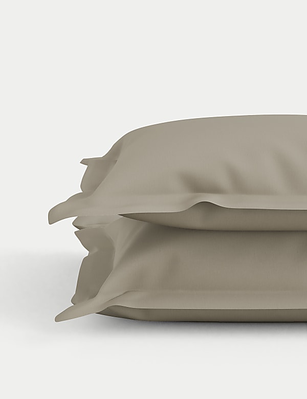 500TC Cotton Sateen 2pk Oxford Edge Pillowcase  - NL