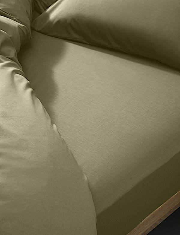 Cotton Rich Fitted Sheet - IT